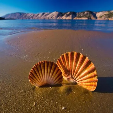 In By Sandy